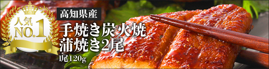 人気No.1 高知県産　手焼き炭火焼　蒲焼き2尾